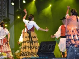 Festival de Folkore en Mula